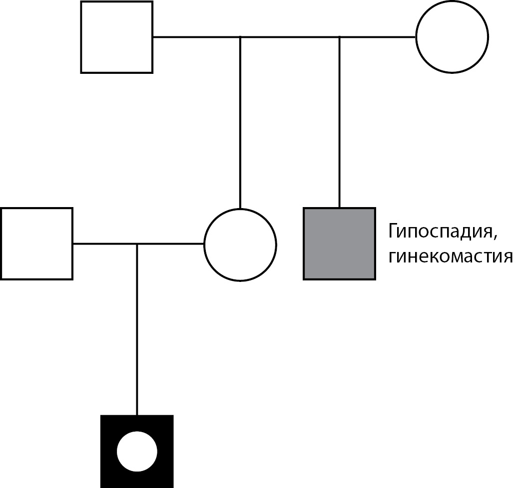 Изображение на обложке